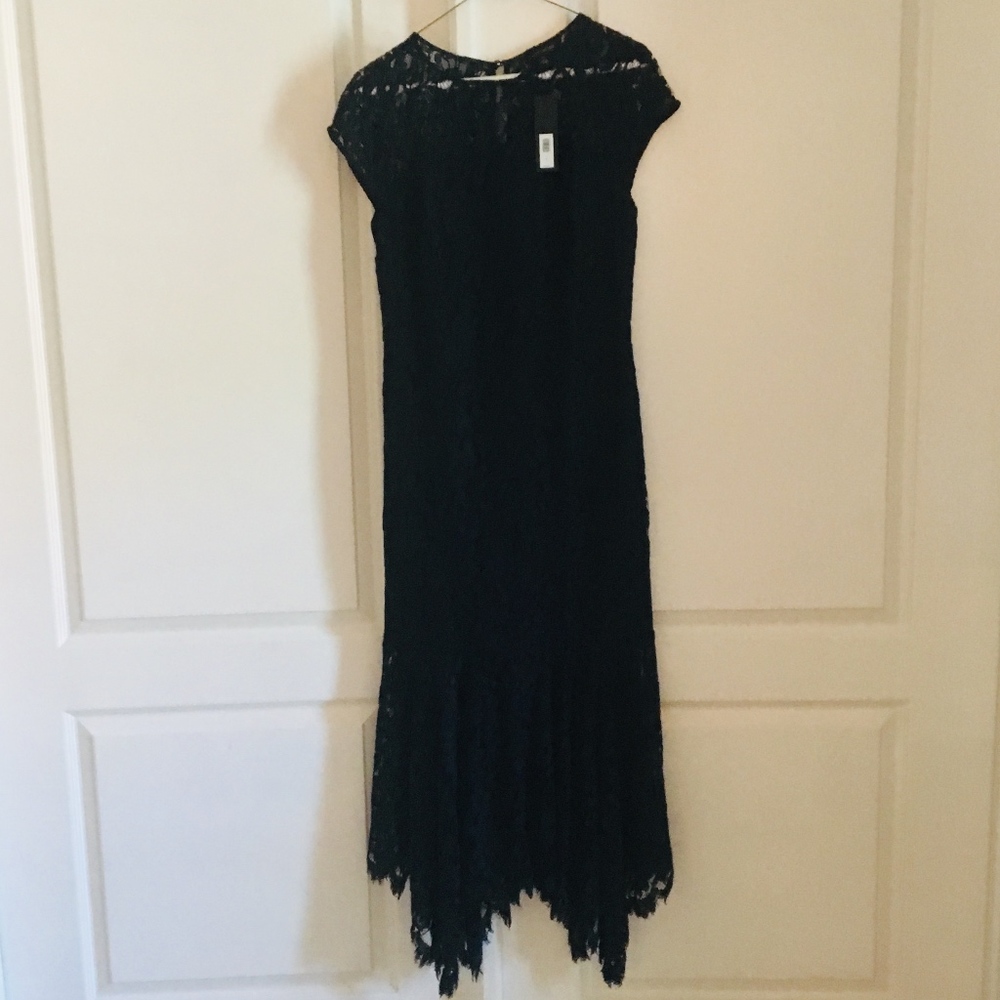 Banana Republic Tea length Lace Dress